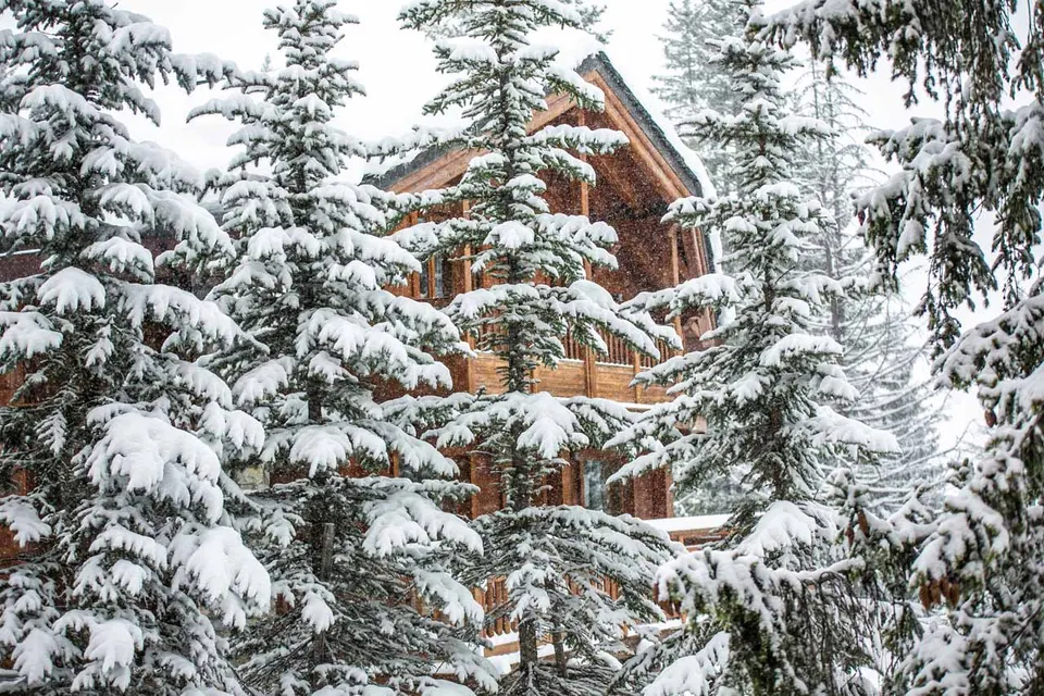 Chalet Timeless — photographie 2